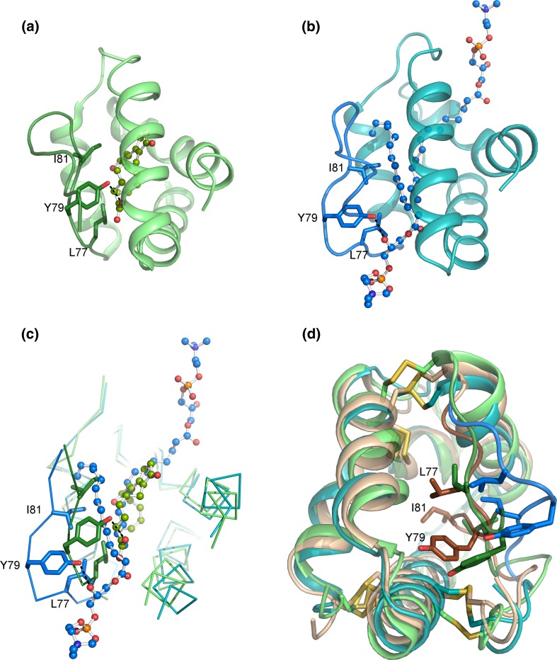 Fig. 2