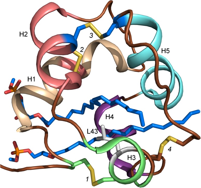 Fig. 8