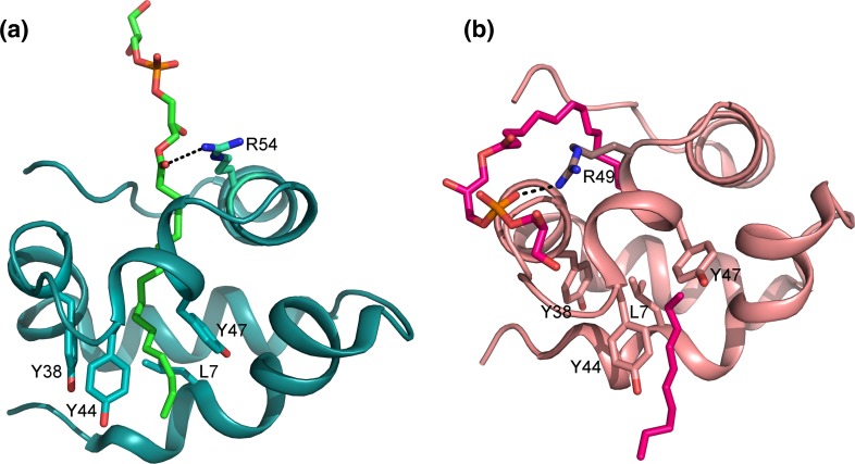 Fig. 7