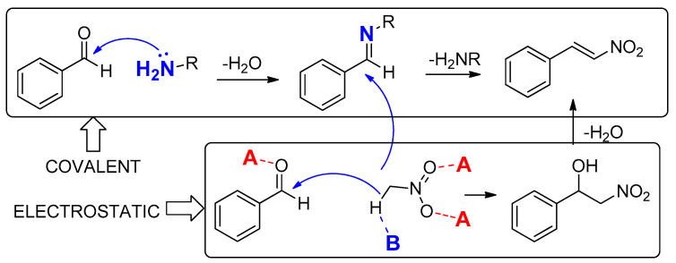 Scheme 1
