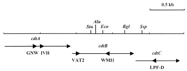 FIG. 1