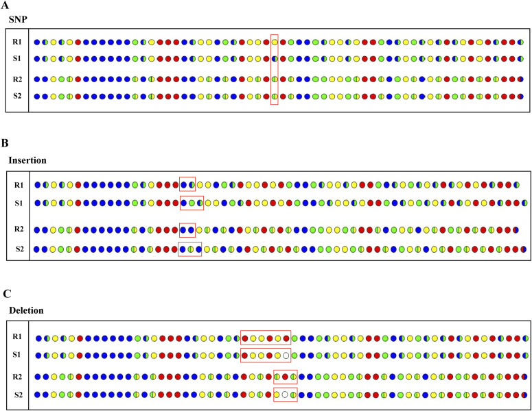 Figure 5.