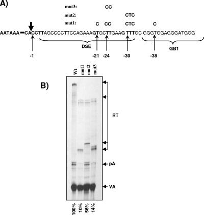 FIG. 8.