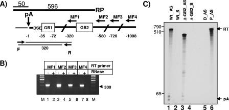 FIG. 7.