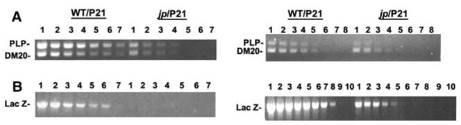 Fig. 7