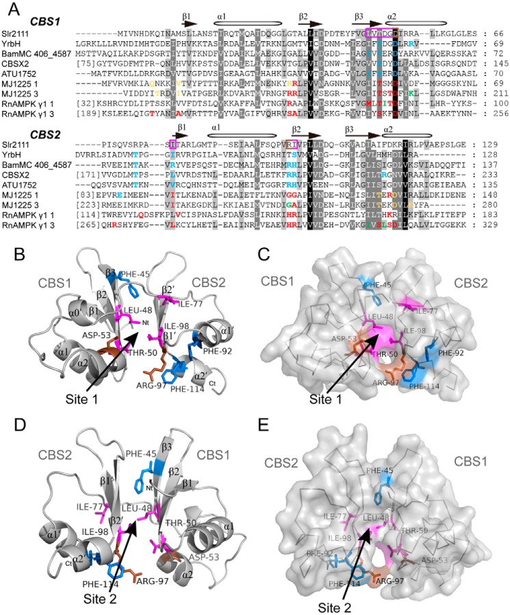 Figure 2.