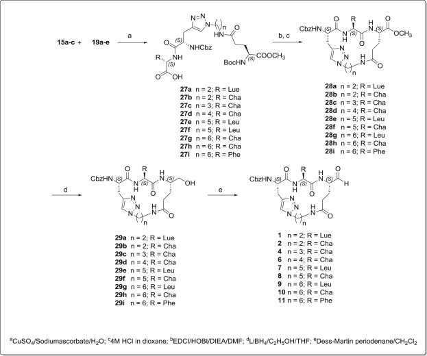 Scheme 3