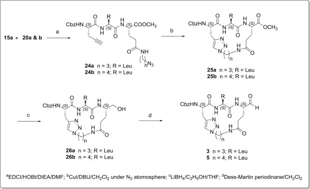 Scheme 2