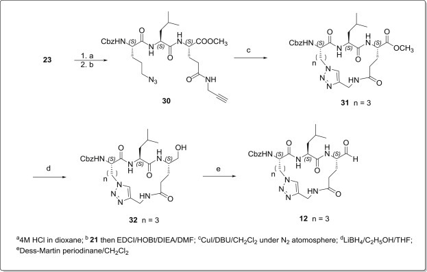 Scheme 4