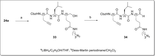 Scheme 5