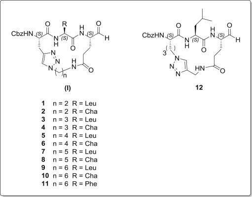 Fig. 1