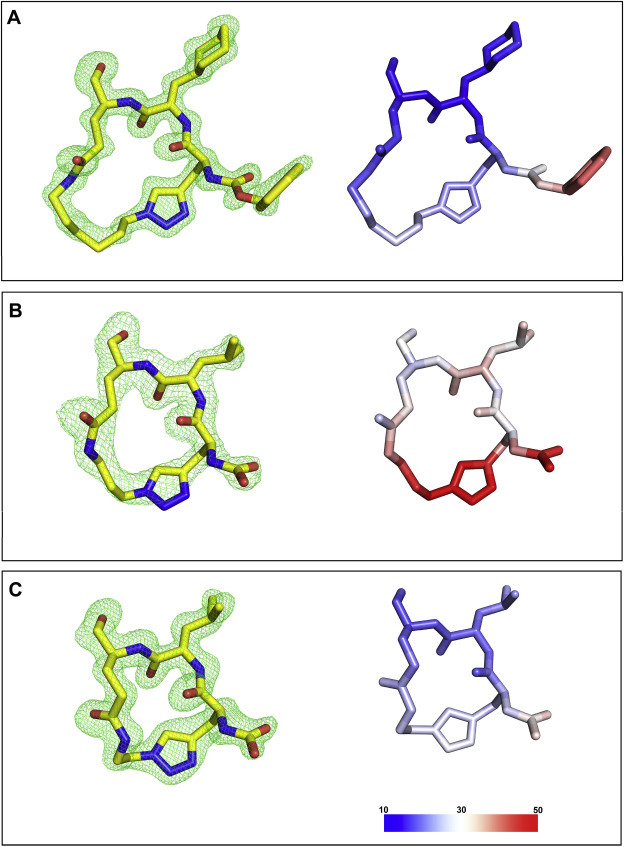 Fig. 4