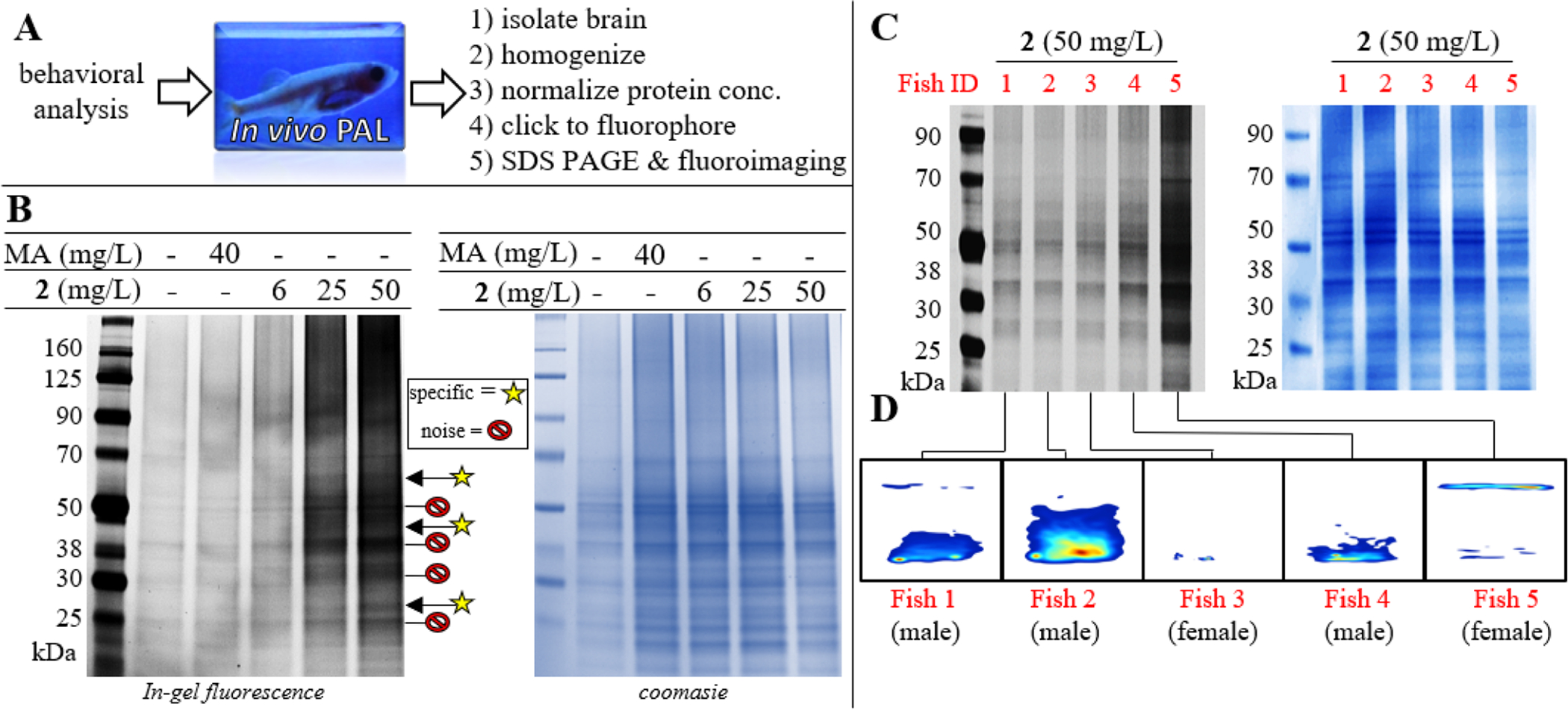 Figure 4.