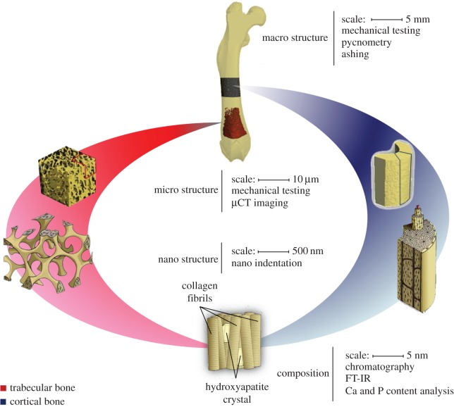 Figure 1.