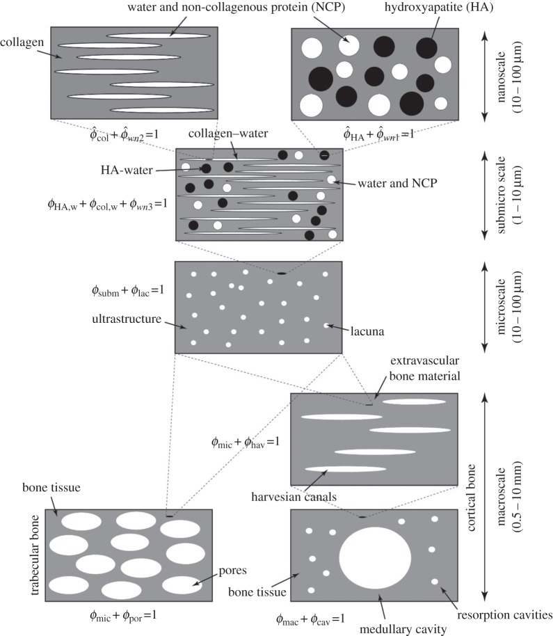 Figure 5.