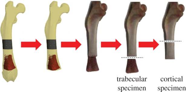 Figure 2.