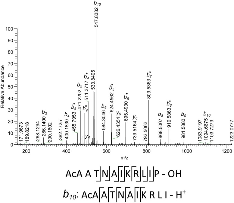 Fig 5