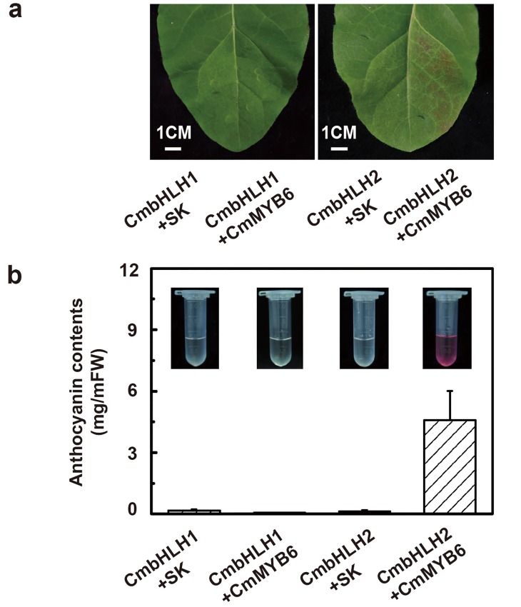 Fig 7