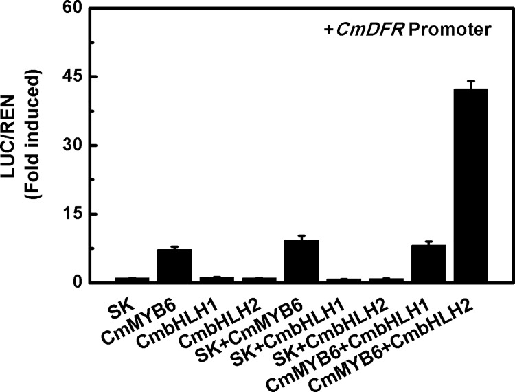 Fig 4