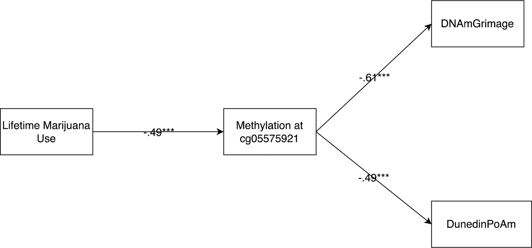 Figure 2 –