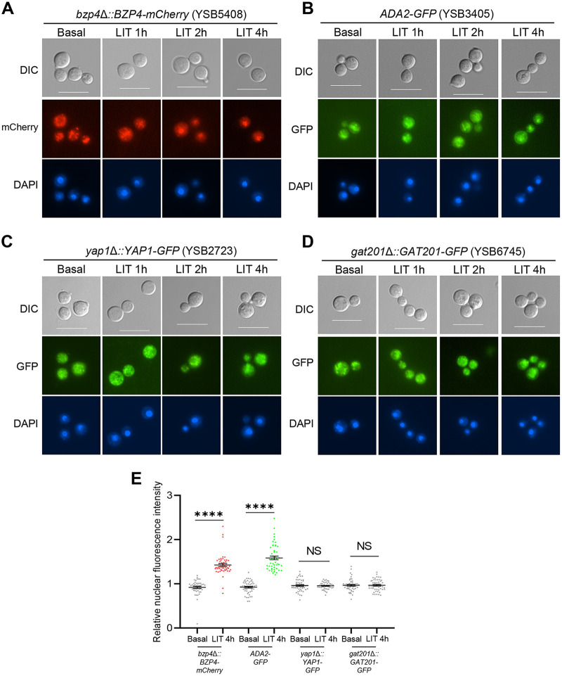 FIG 4