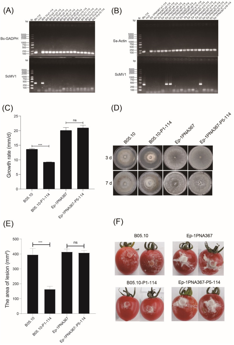 Figure 10