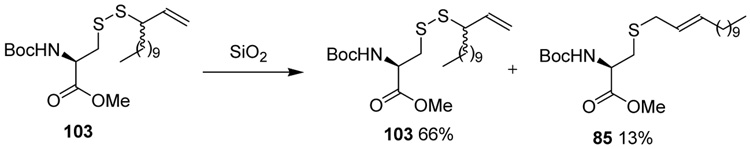 Scheme 8