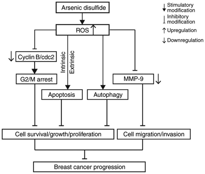 Figure 14.