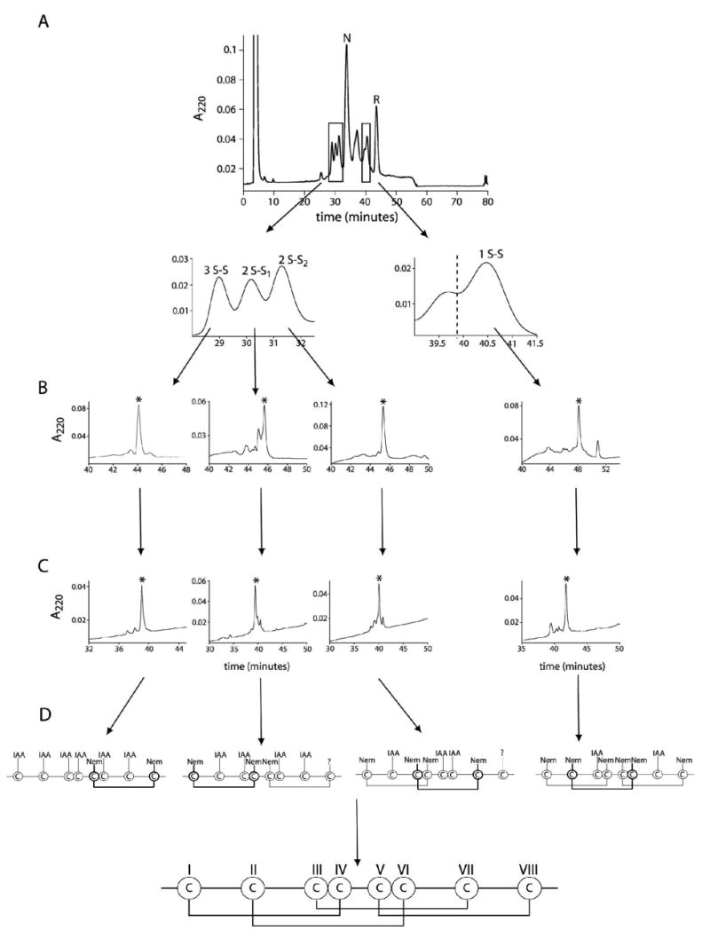 FIGURE 3