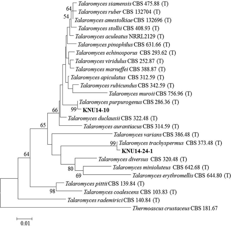 Fig. 3