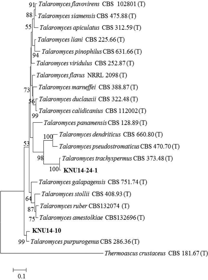 Fig. 4