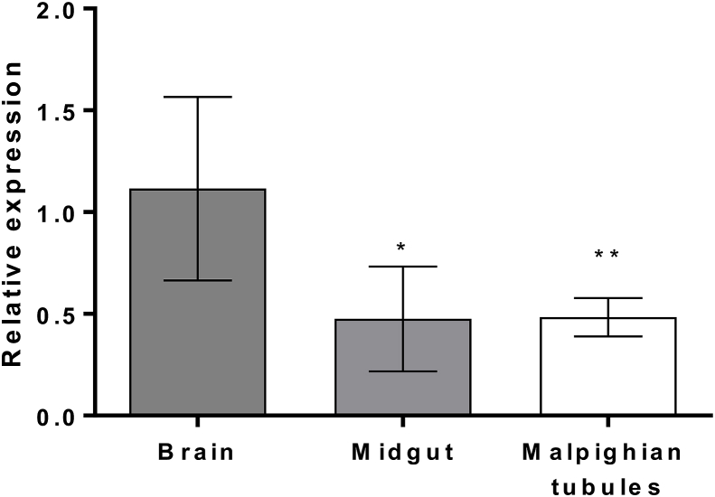 Fig. 3