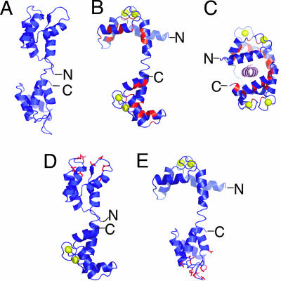 Fig. 2.