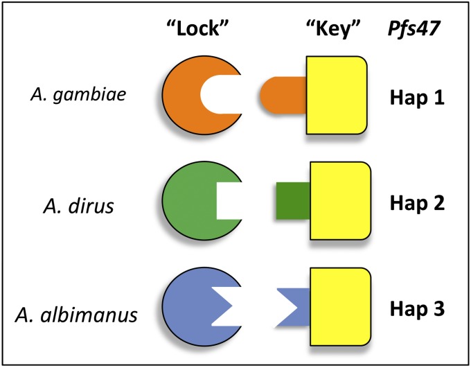 Fig. 4.