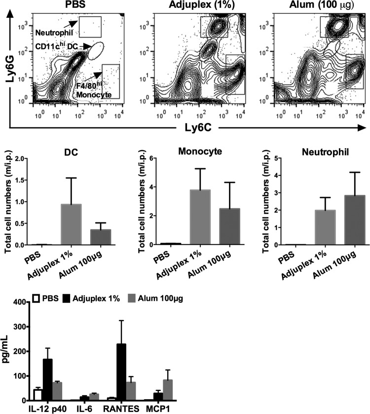 FIG 6