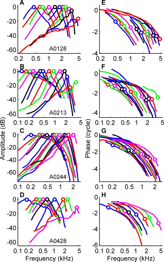 Figure 5.