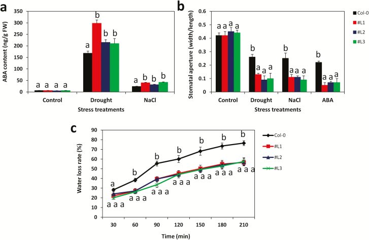 Figure 6.