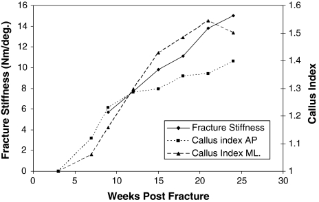 Fig. 2