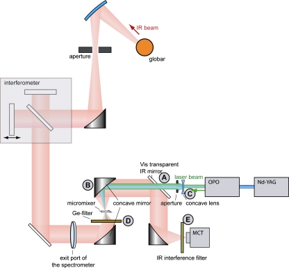 Fig. 1