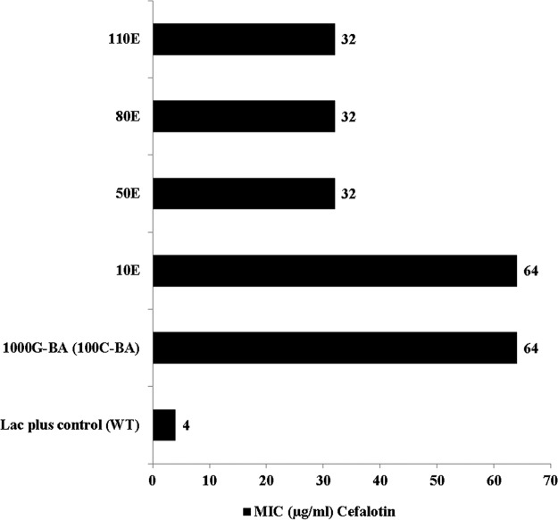 FIG 2