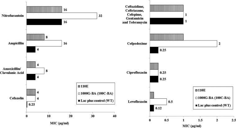 FIG 3