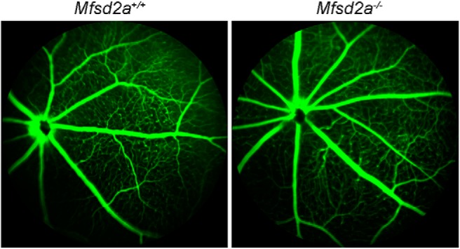 Figure 6.