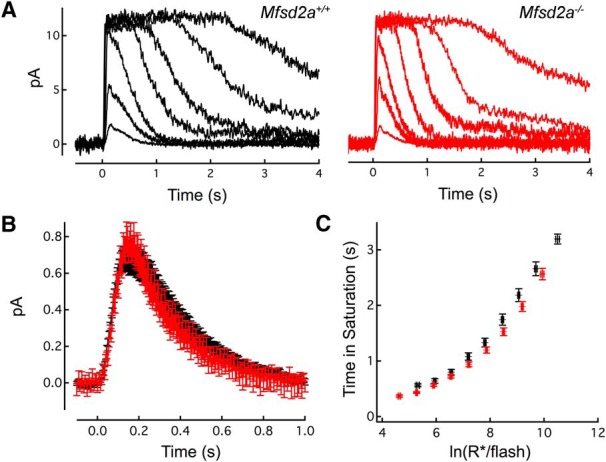 Figure 11.