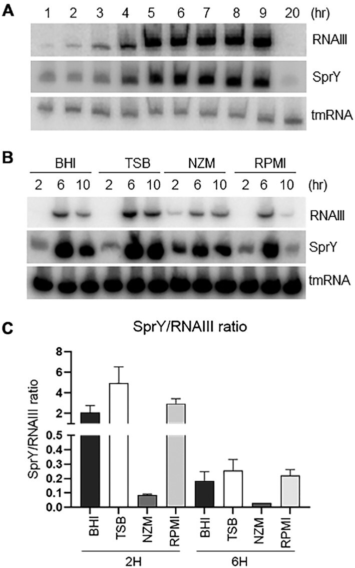 Figure 5.