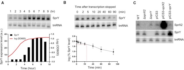 Figure 2.