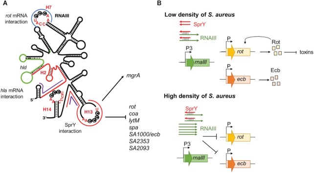 Figure 7.