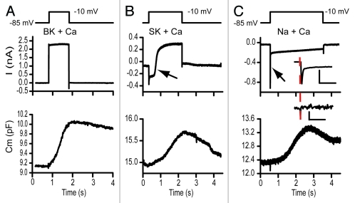 Figure 1.