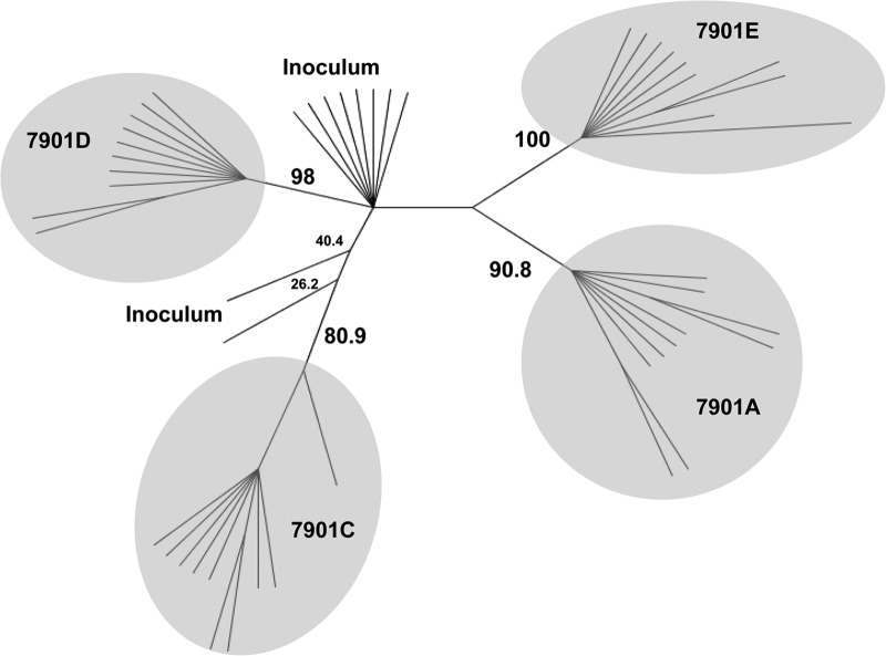 FIG 2