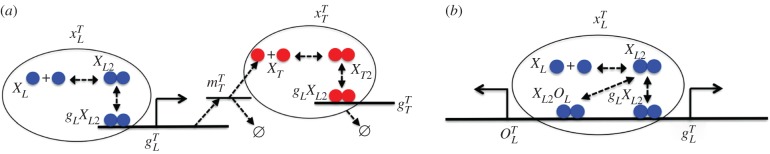 Figure 1.