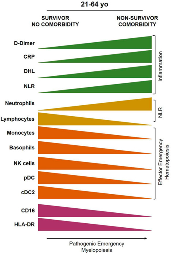 Image, graphical abstract